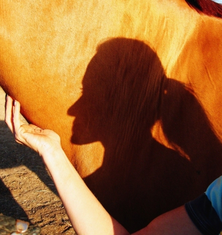 Silhouette Girl on Horse