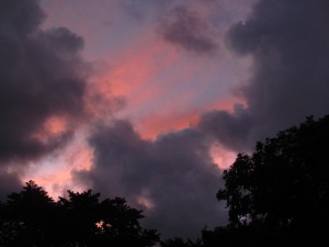 Twilight Sky