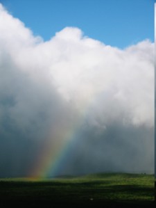 Molokai Rainbow