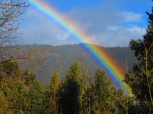Vibrant California Rainbow